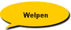 Welpen